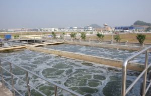 Xử Lý Nước Thải Trong Nhà Máy Sản Xuất Lizin Bằng Kỹ Thuật Bùn Hoạt Tính