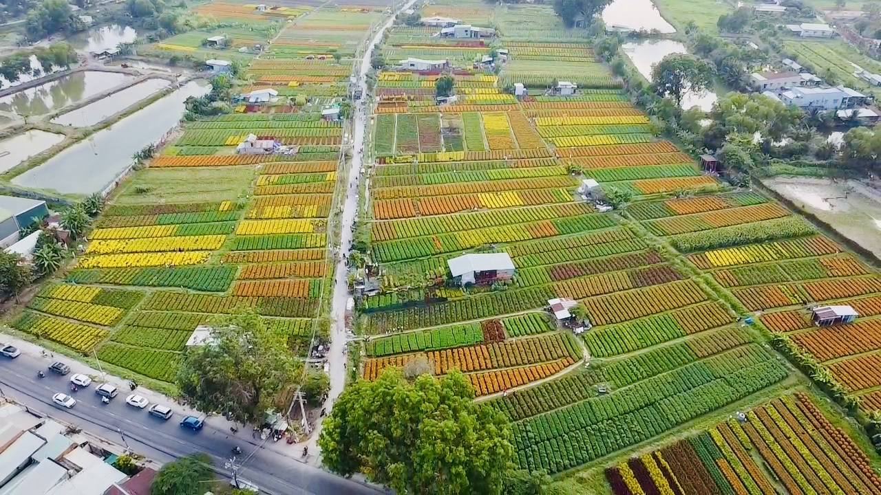 Dự Án Tổ Hợp Giáo Dục tại Tân Uyên