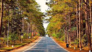 Khu Đô Thị Số 5 Măng Đen