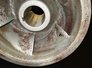 Hiện Tượng Khí Thực