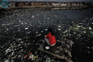 Chất Gây Ô Nhiễm