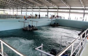 Tái sử dụng Nước thải