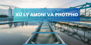 Phối Hợp Vôi Và Muối Sắt